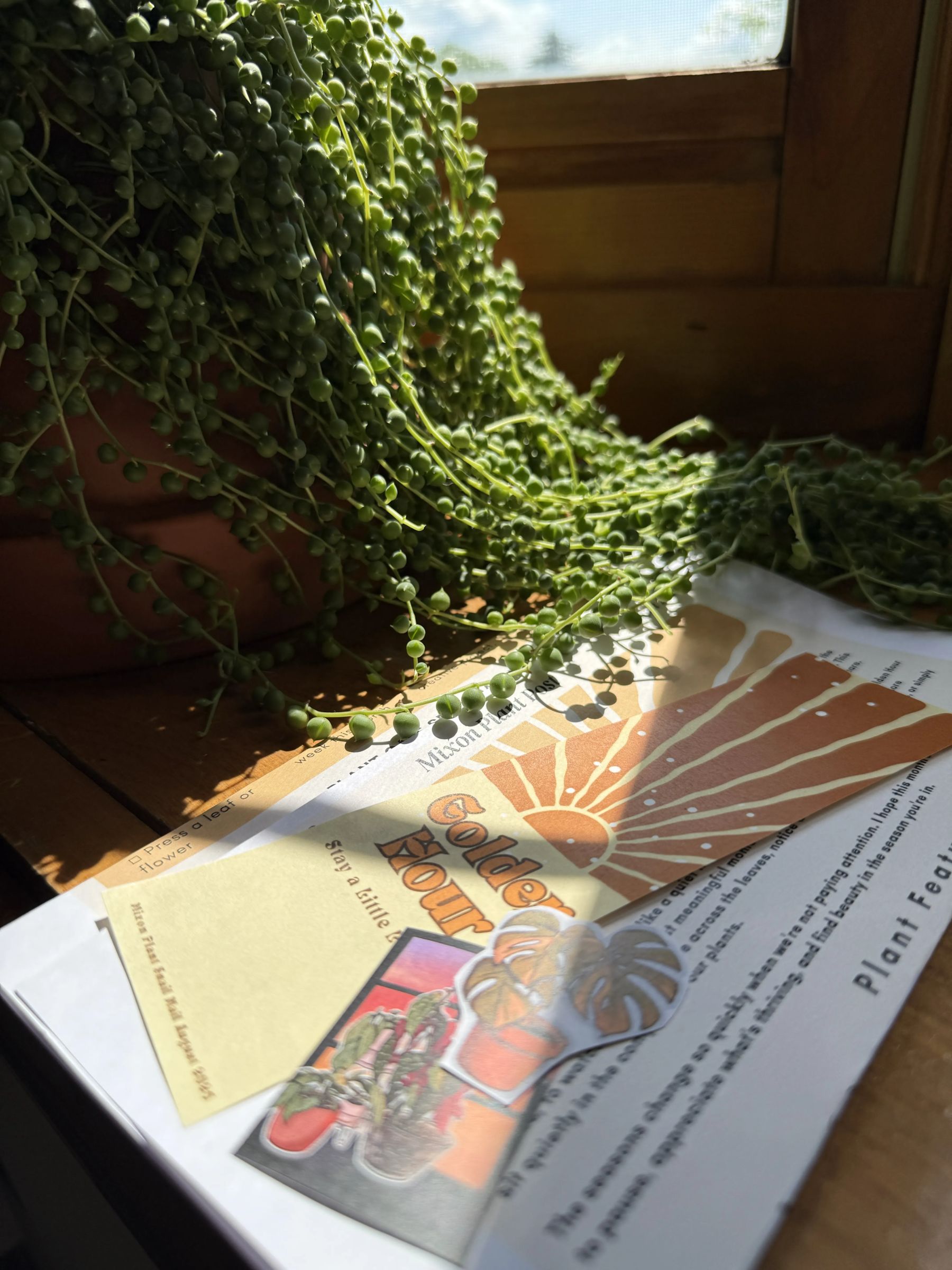 Mixon Plants preview