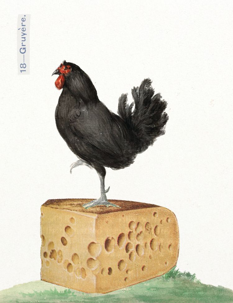 Nervous Little Mouth Mail Club header