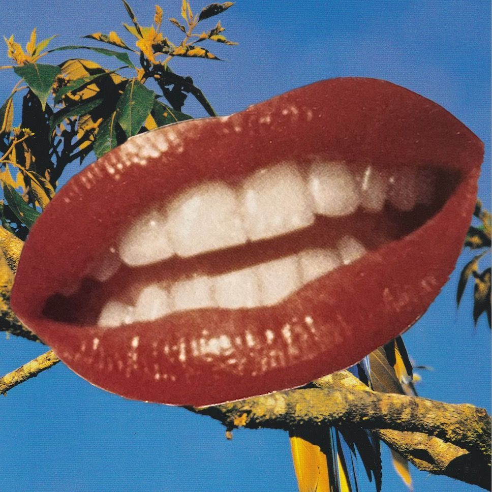 Nervous Little Mouth Mail Club profile