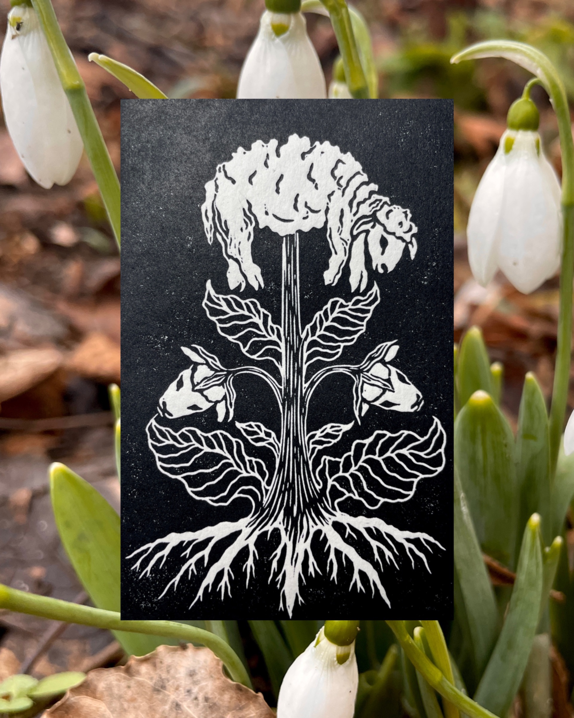 Hands on Mail Club preview