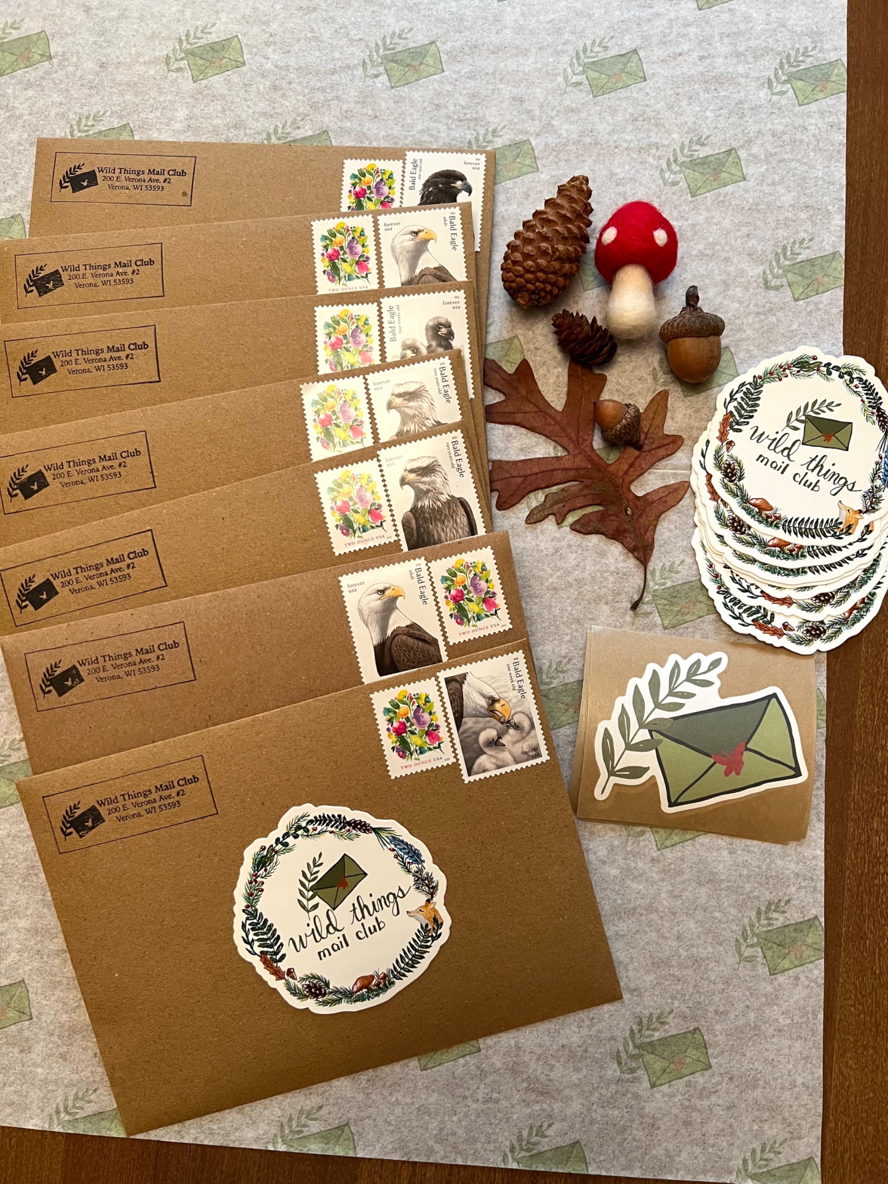 Wild Things Mail Club preview