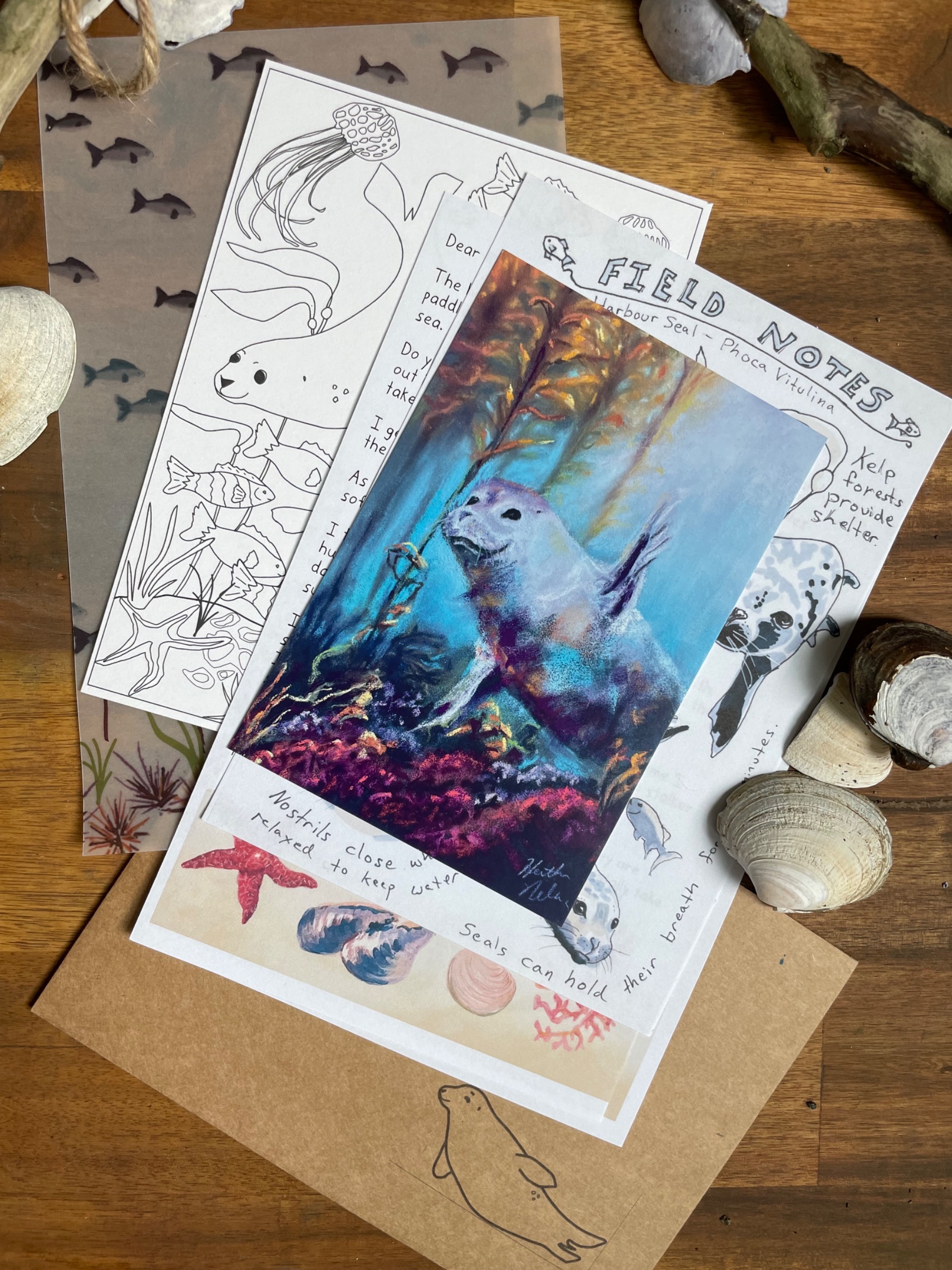 Notes From The Wildwood gallery image 2