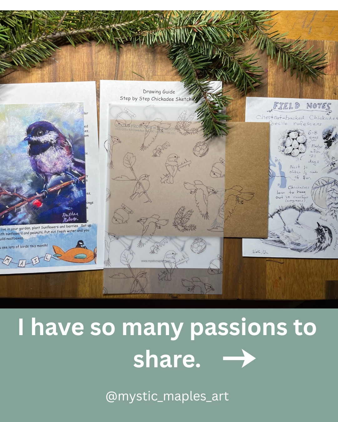 Notes From The Wildwood gallery image 4
