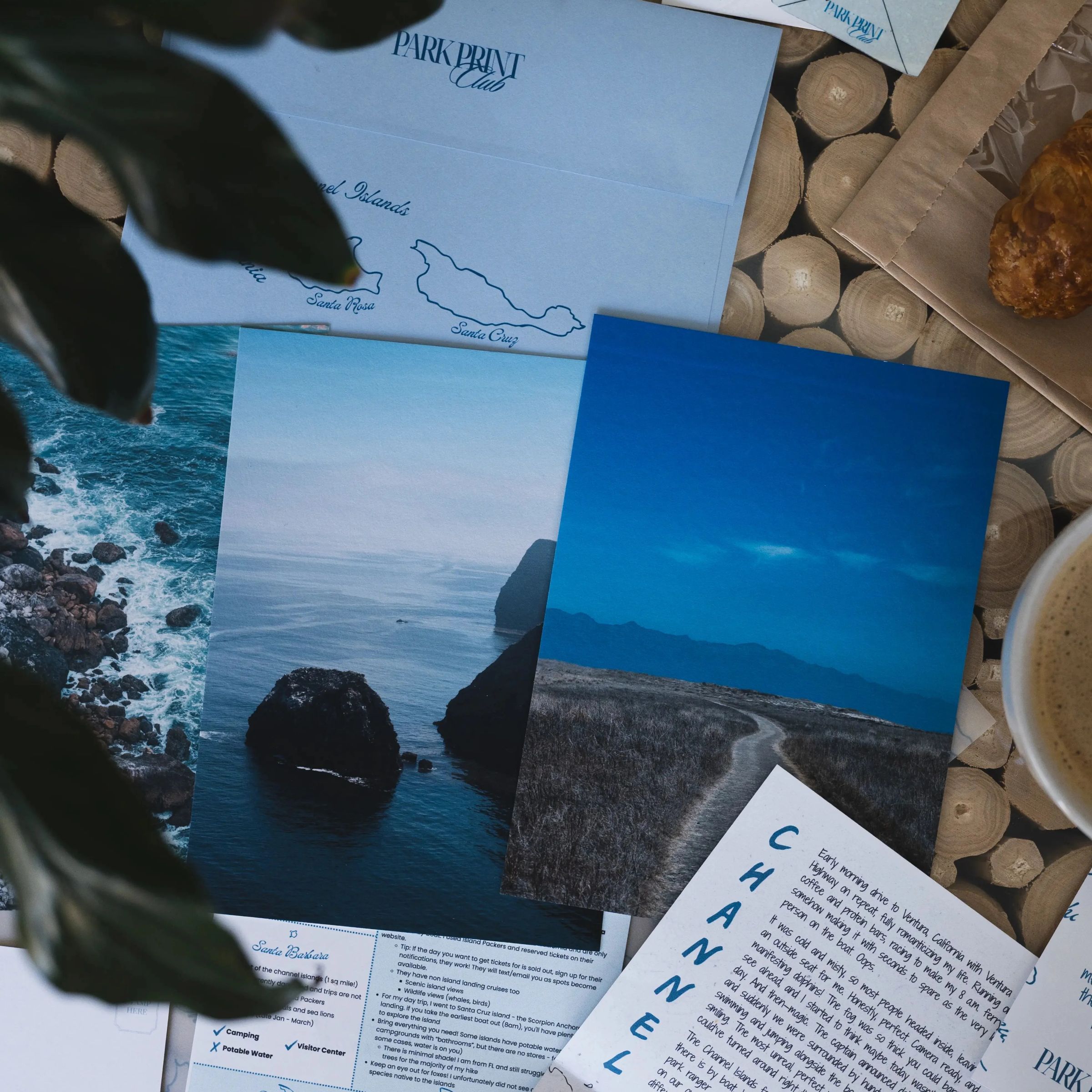 Park Print Club preview