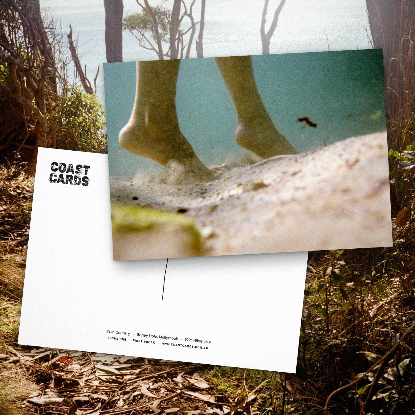 Coast Cards header