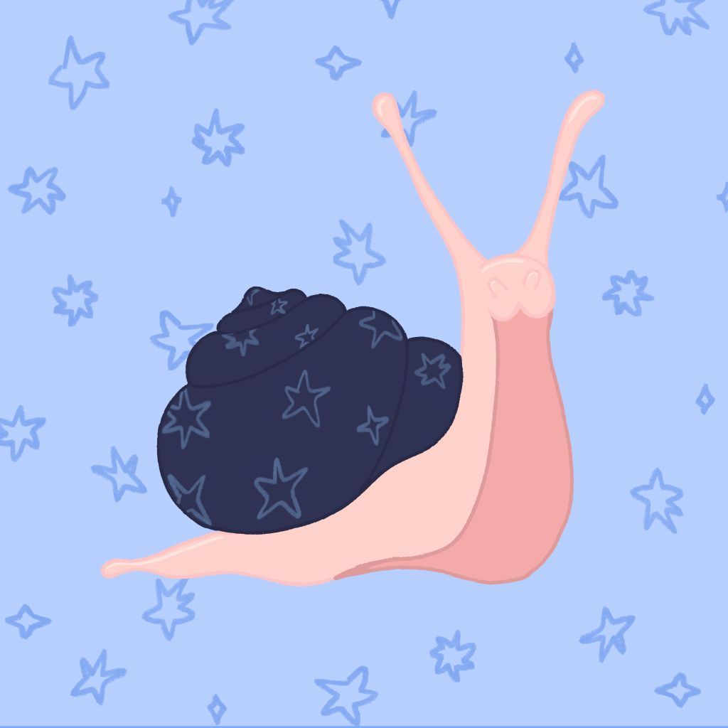 Mollusk Mail Club profile