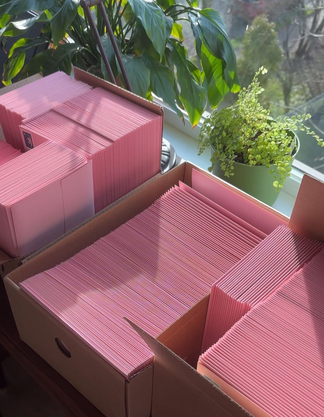 Mighty Mail Club gallery image 2