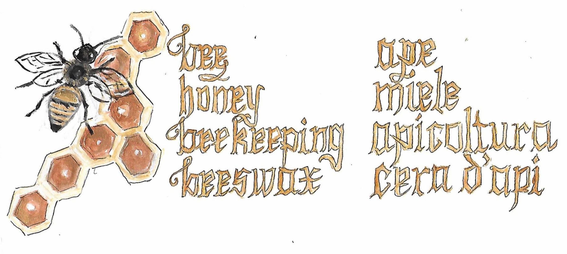 Wild and Gilded Letters from Tuscany gallery image 5