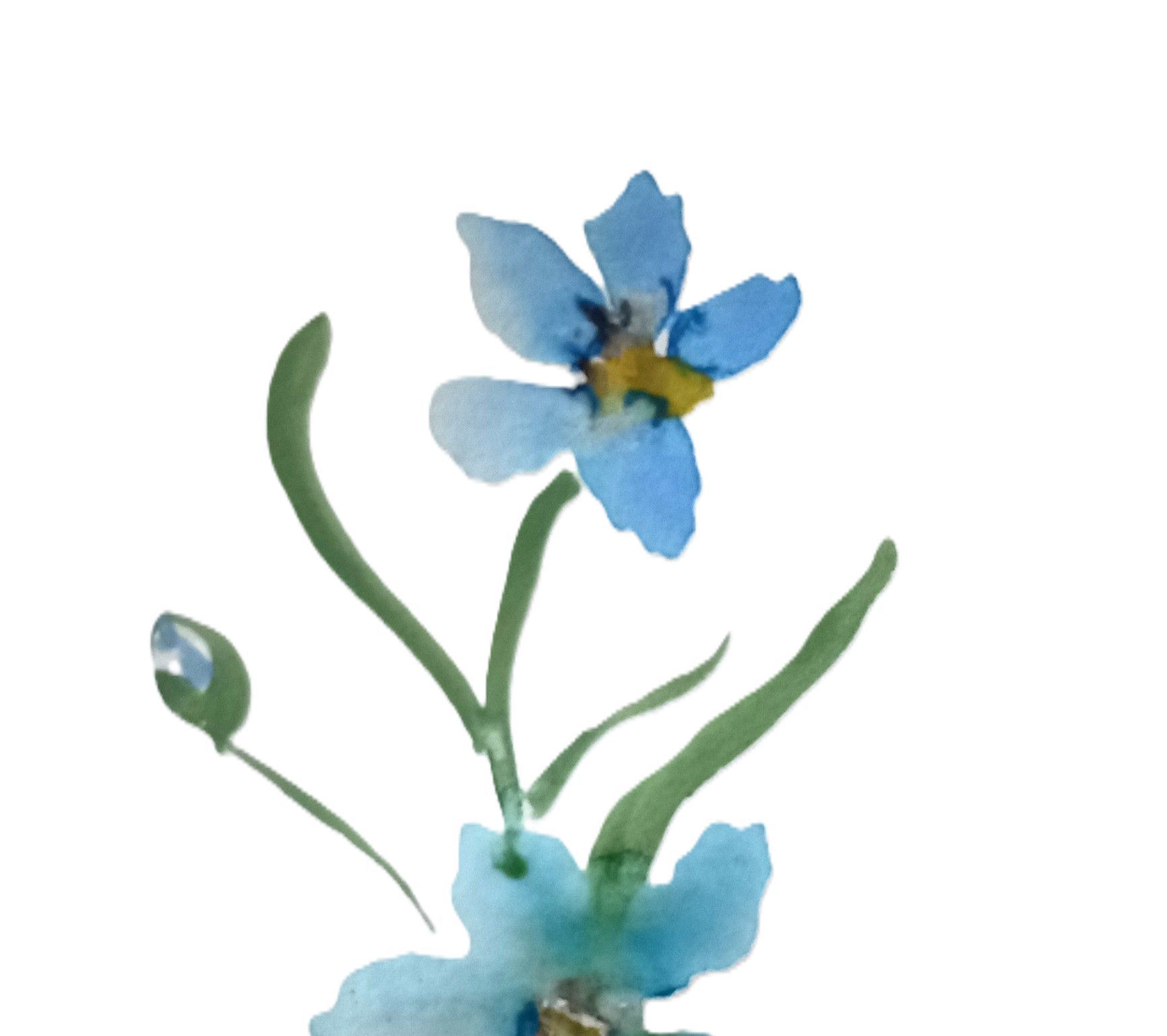 Nonni's Nature Club gallery image 2