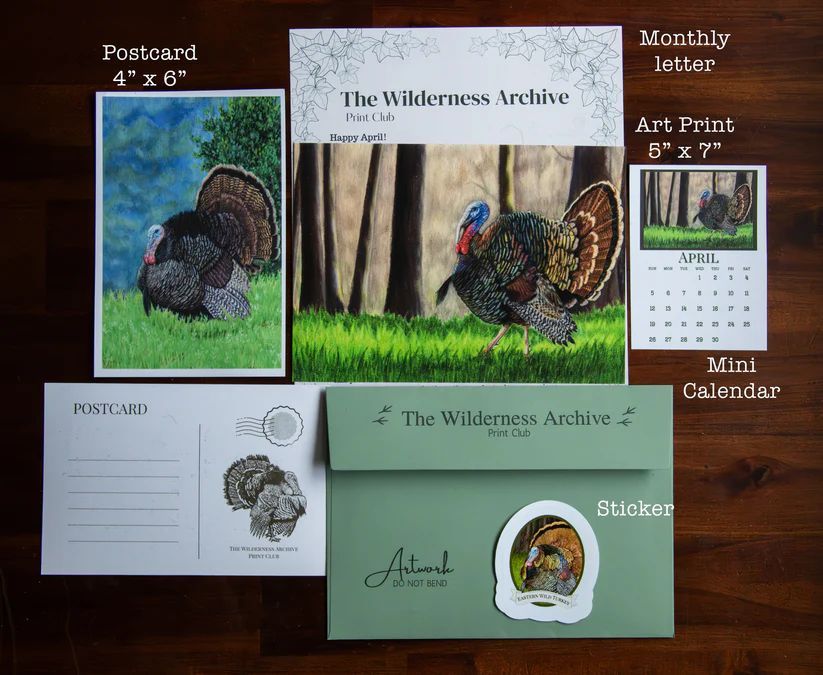 The Wilderness Archive Print Club gallery image 2