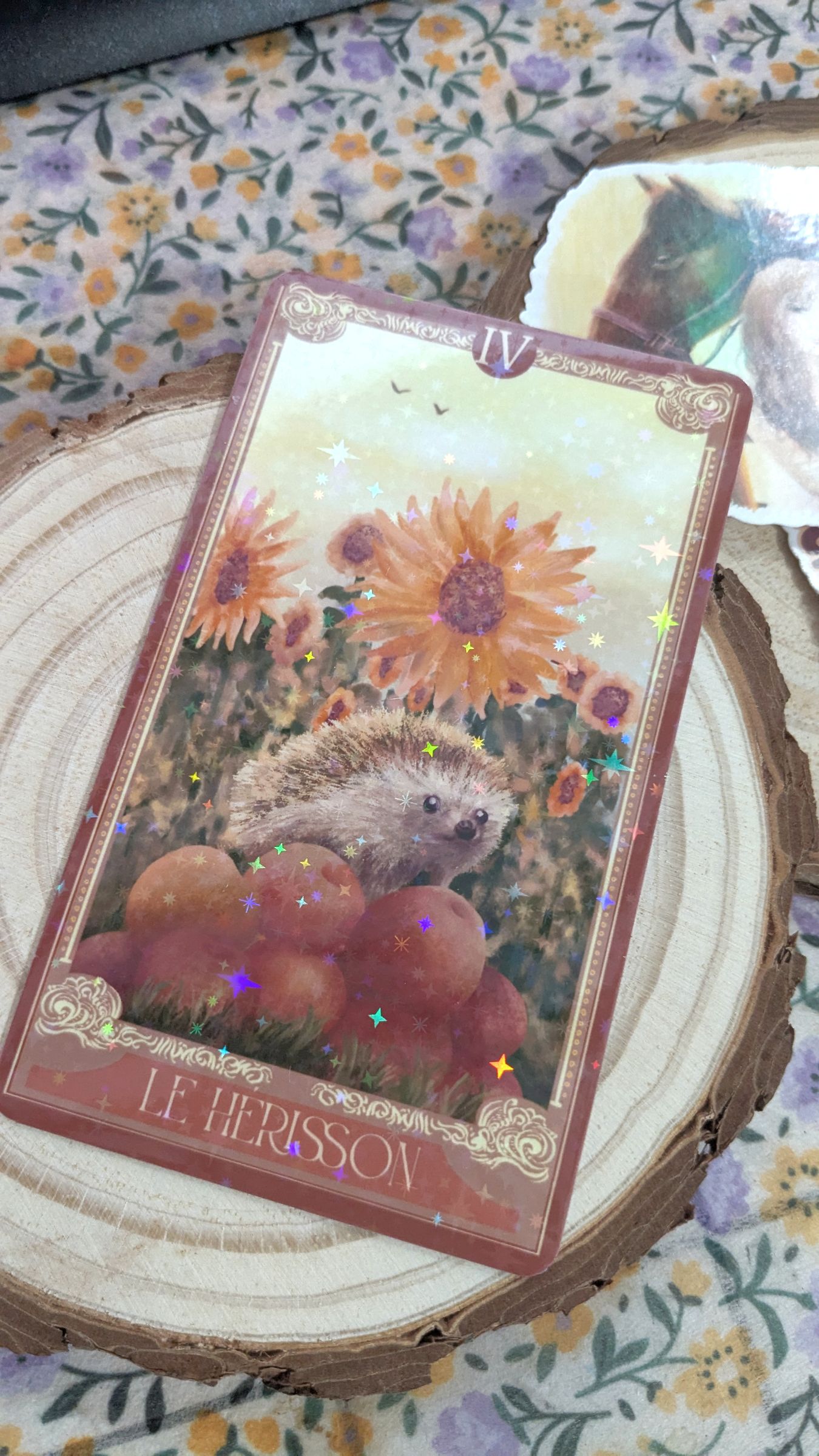 Mail Club des Lucioles gallery image 3