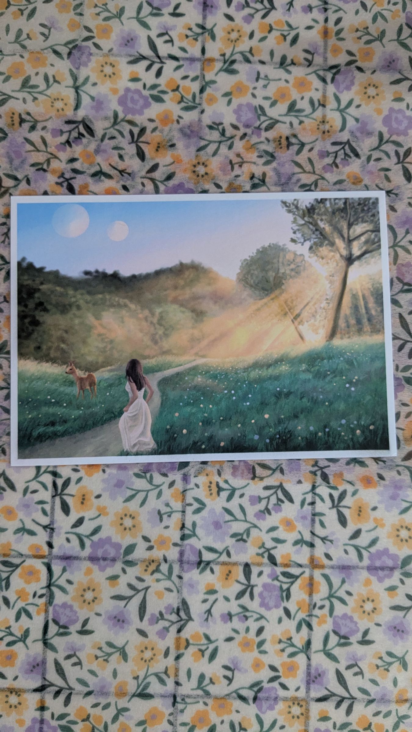 Mail Club des Lucioles gallery image 4