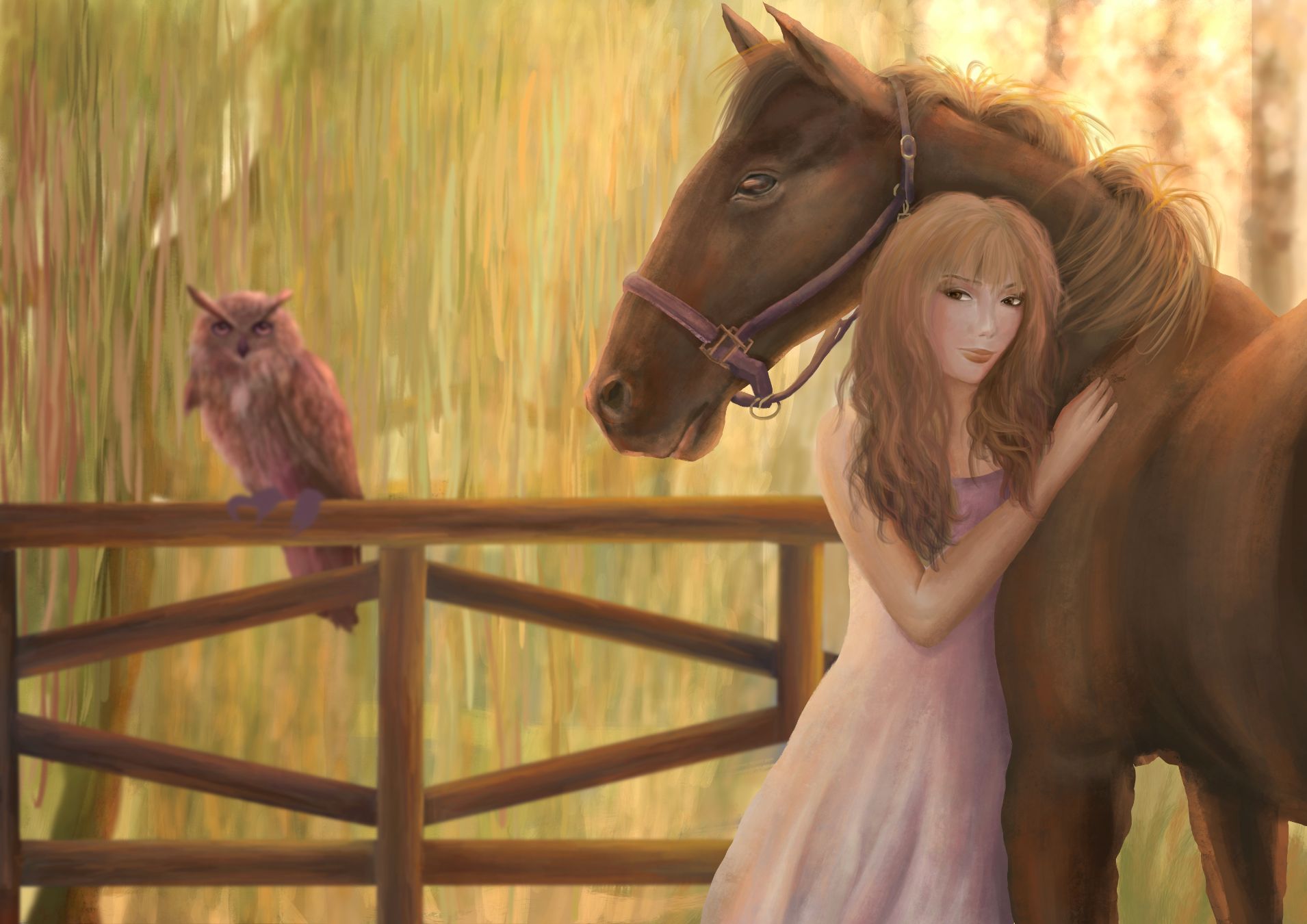 Mail Club des Lucioles header