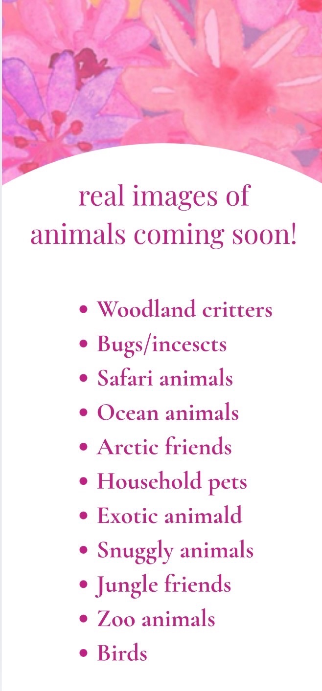 Clay Critters preview