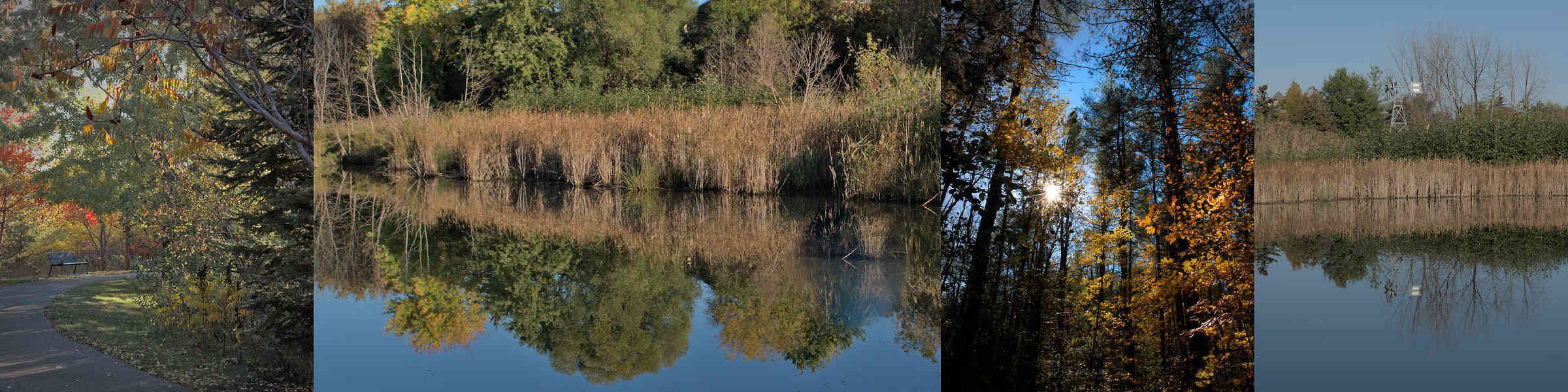 The Quiet Elsewhere header