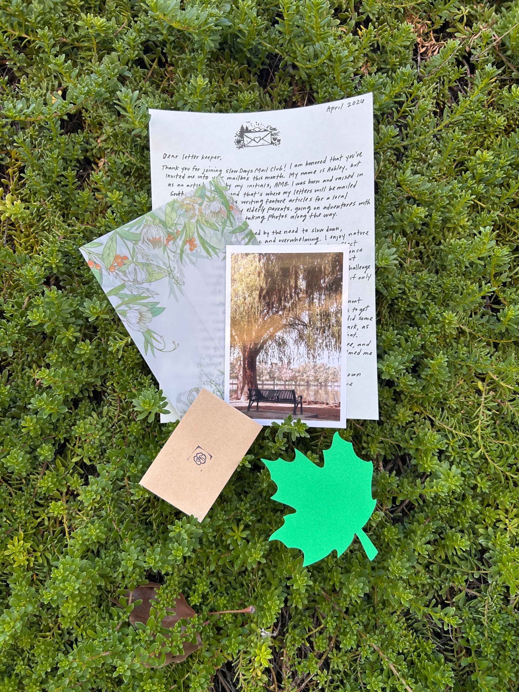 Slow Days Mail Club🌱 gallery image 3