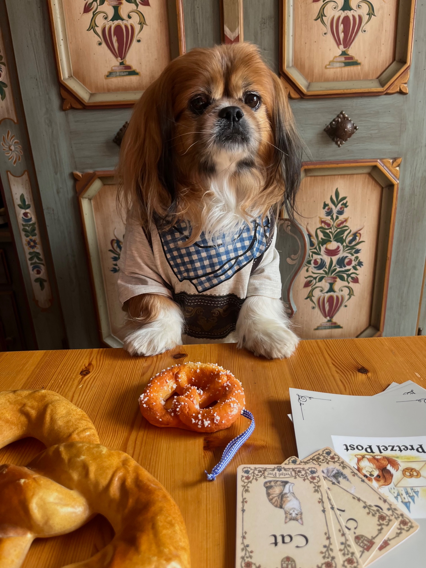Pretzel Post-Letters from a Real Fairytale gallery image 9