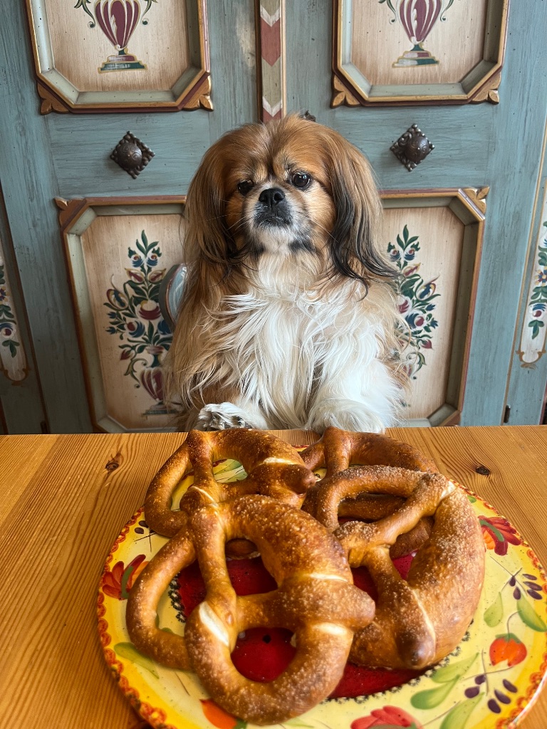 Pretzel Post-Letters from the Castle profile