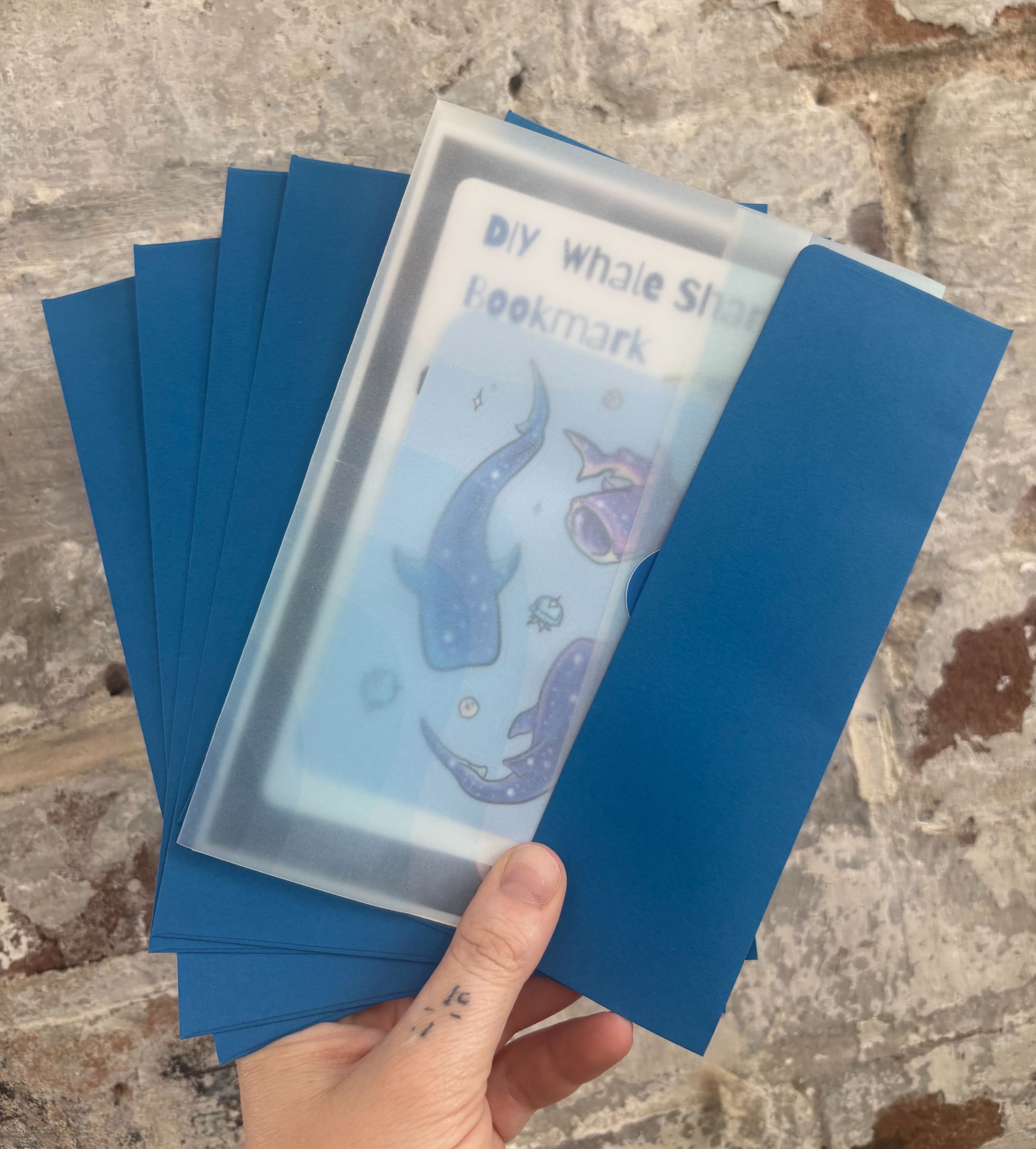 Cat's Mail Club preview