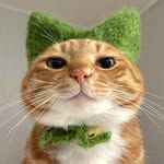 Tabby Mail profile