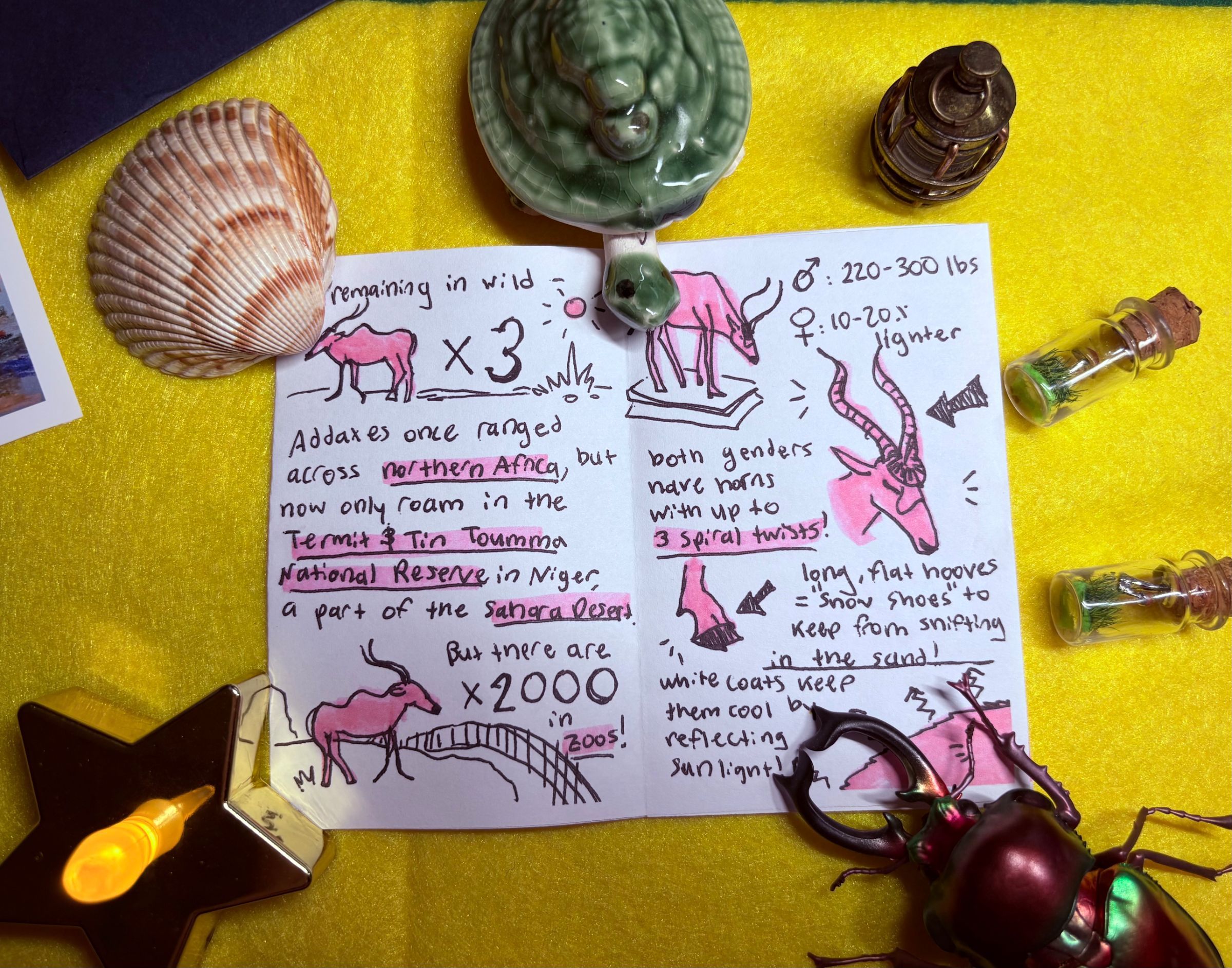 Critical Creatures of the Calendar gallery image 3