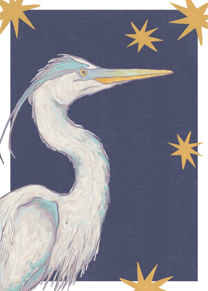 Zen Frog Mail Club preview