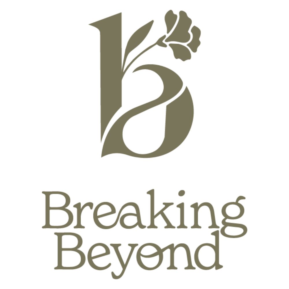 Breaking Beyond: Unplugged profile