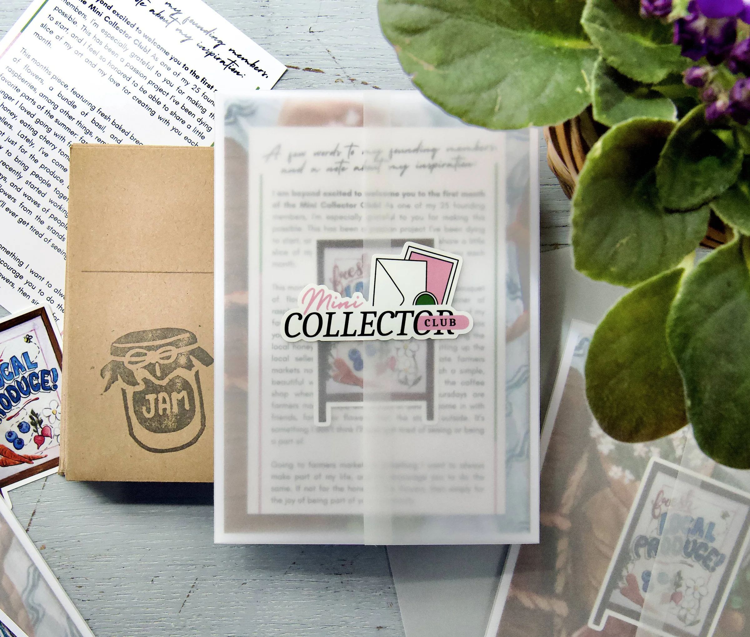 Mini Collector Club preview