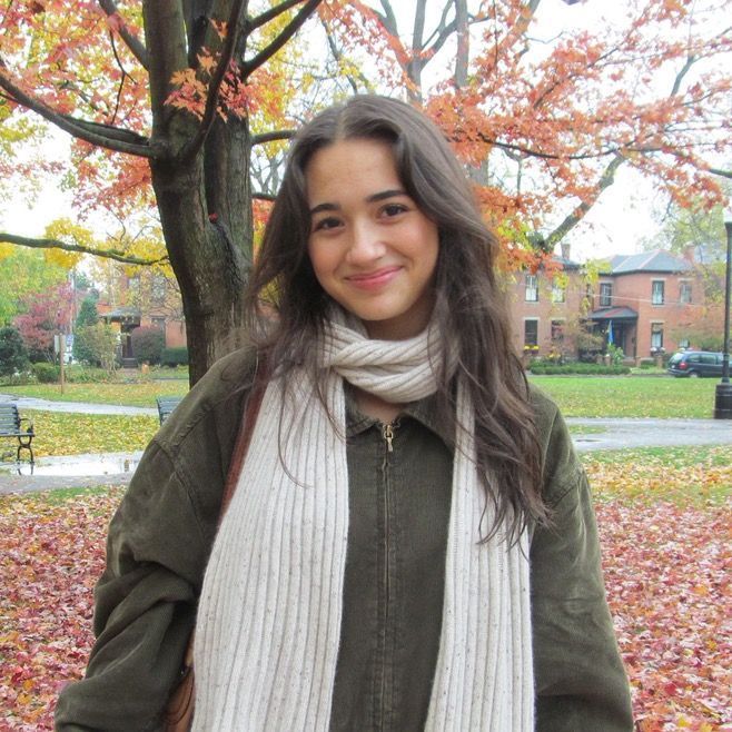 Mini Collector Club profile