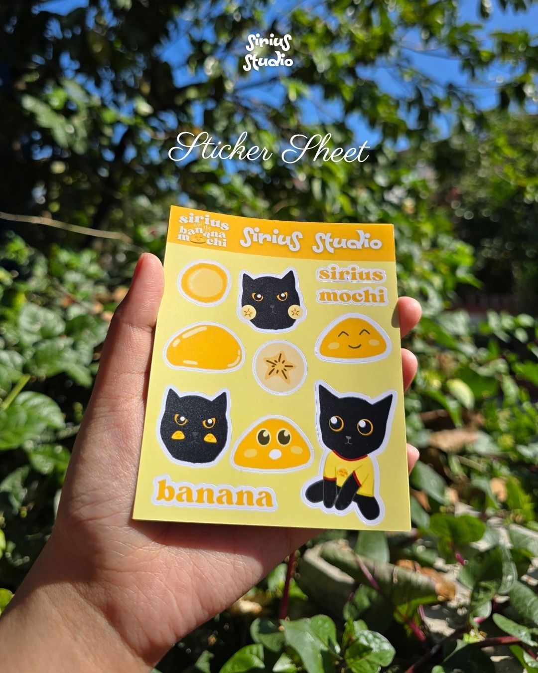 Sirius Mail Club gallery image 2