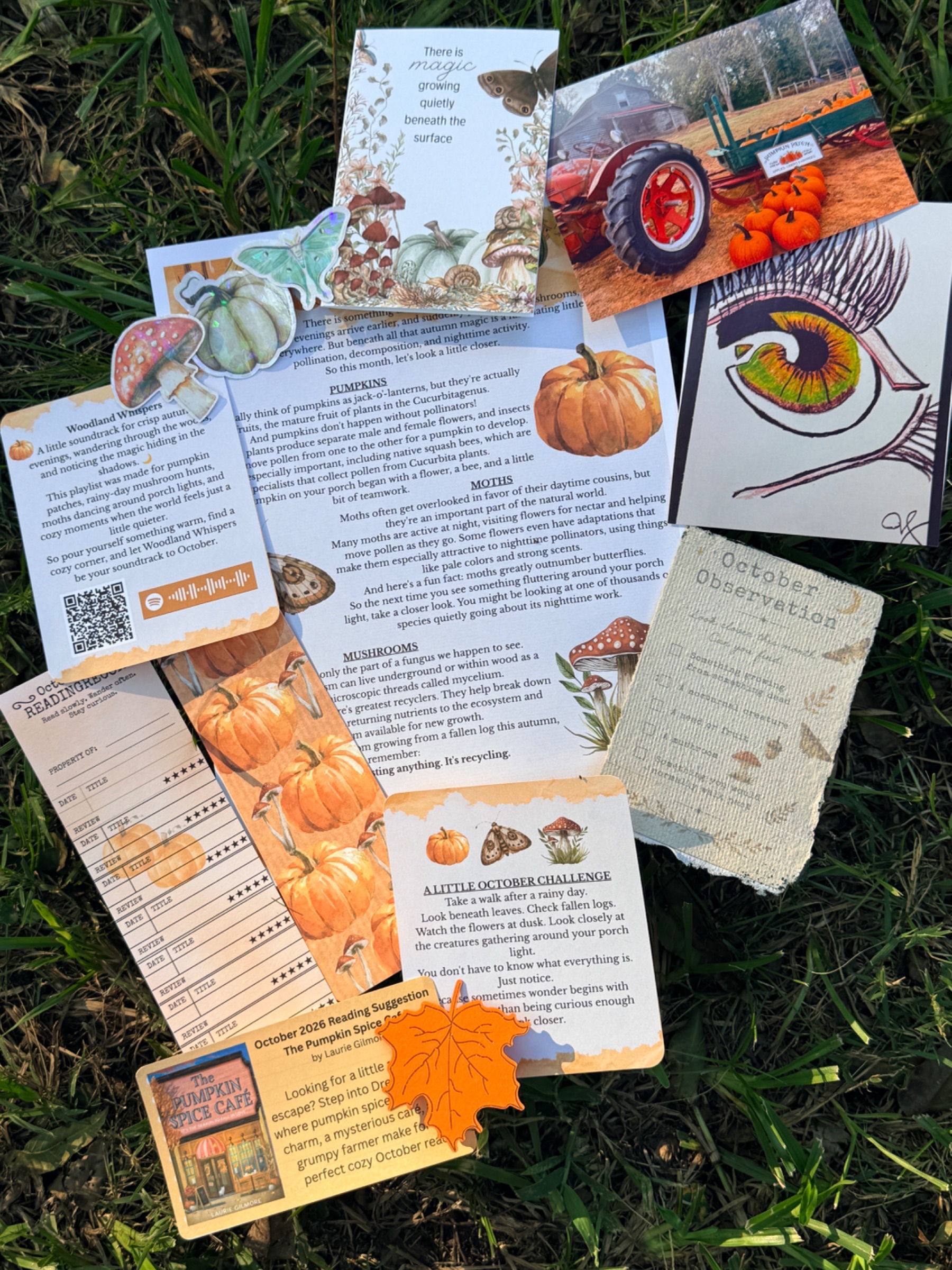 Deckled Roots Monthly Post preview