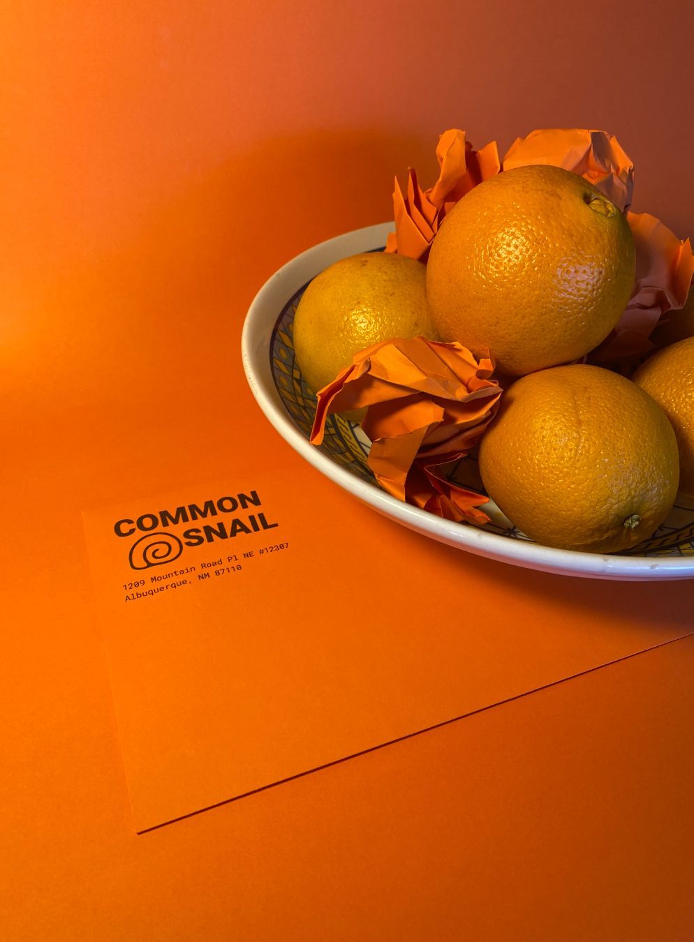 Common Snail header
