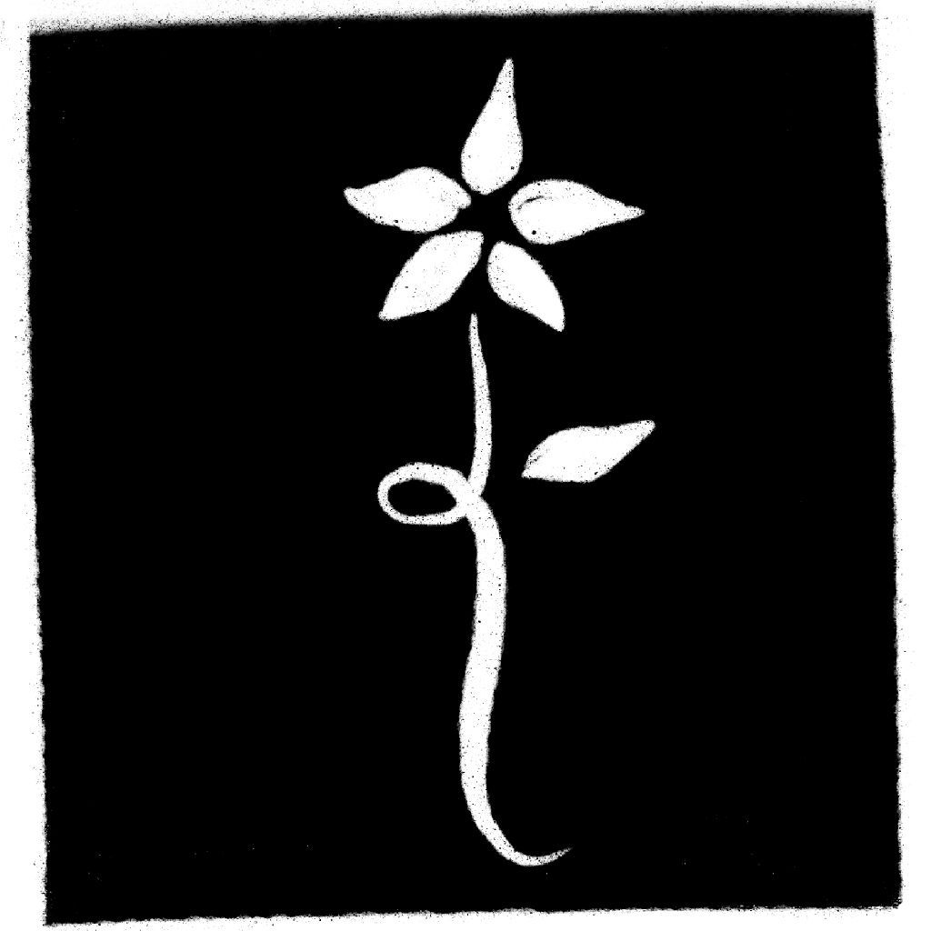 Zucenaz Snail Mail profile