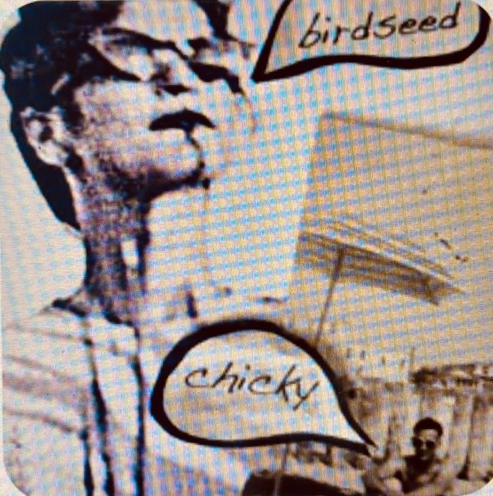 BirdseedChicky profile